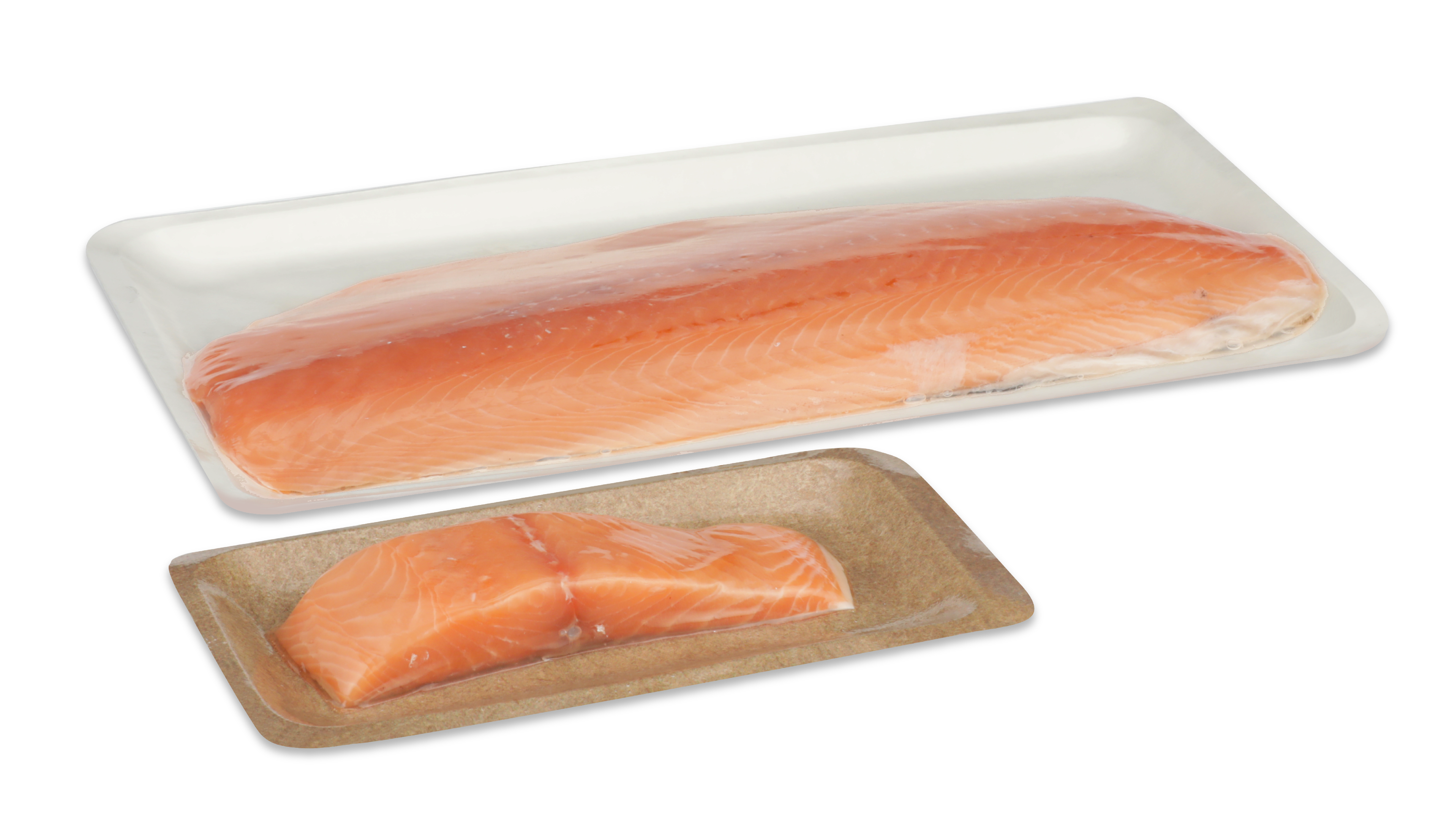 salmon on fiber tray