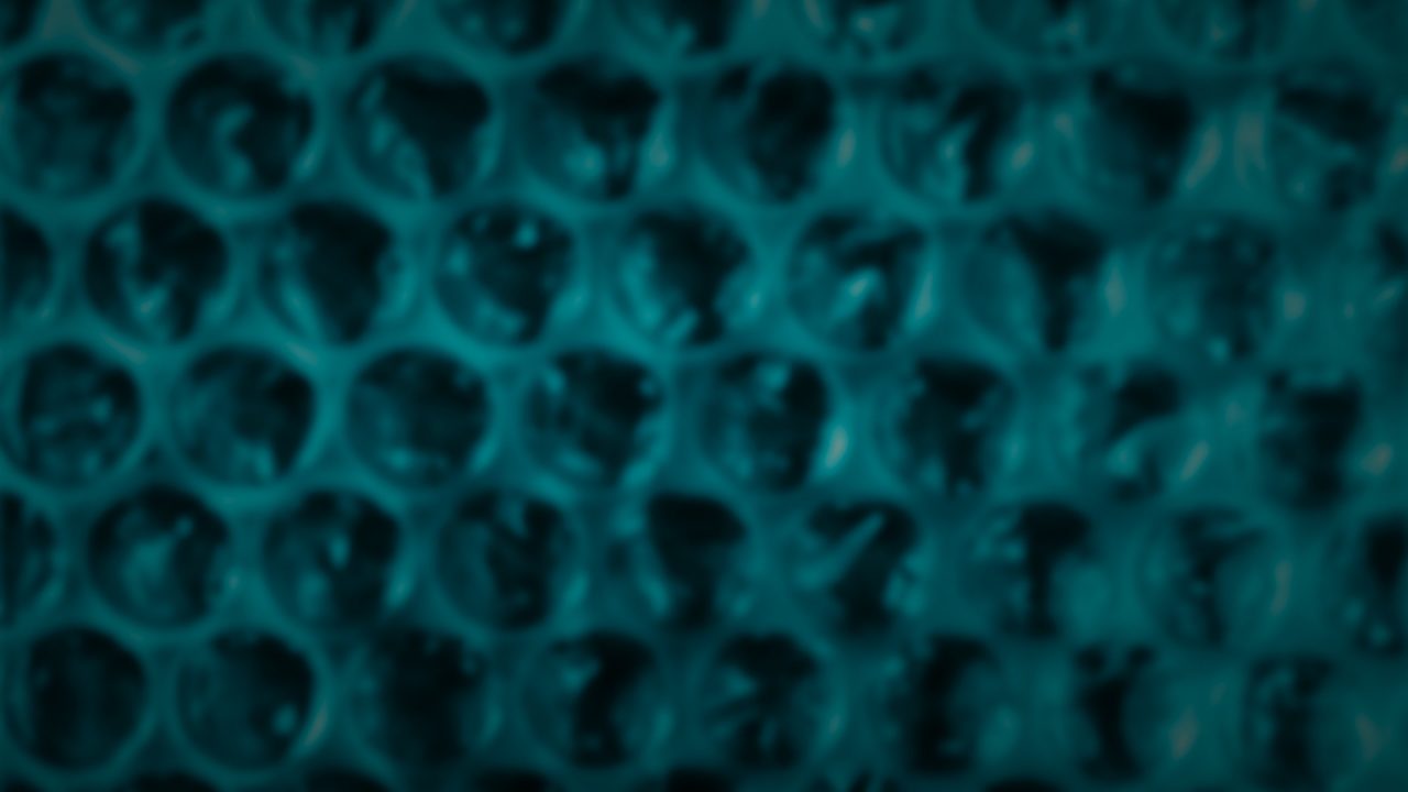 BUBBLE WRAP® Brand Appreciation Day