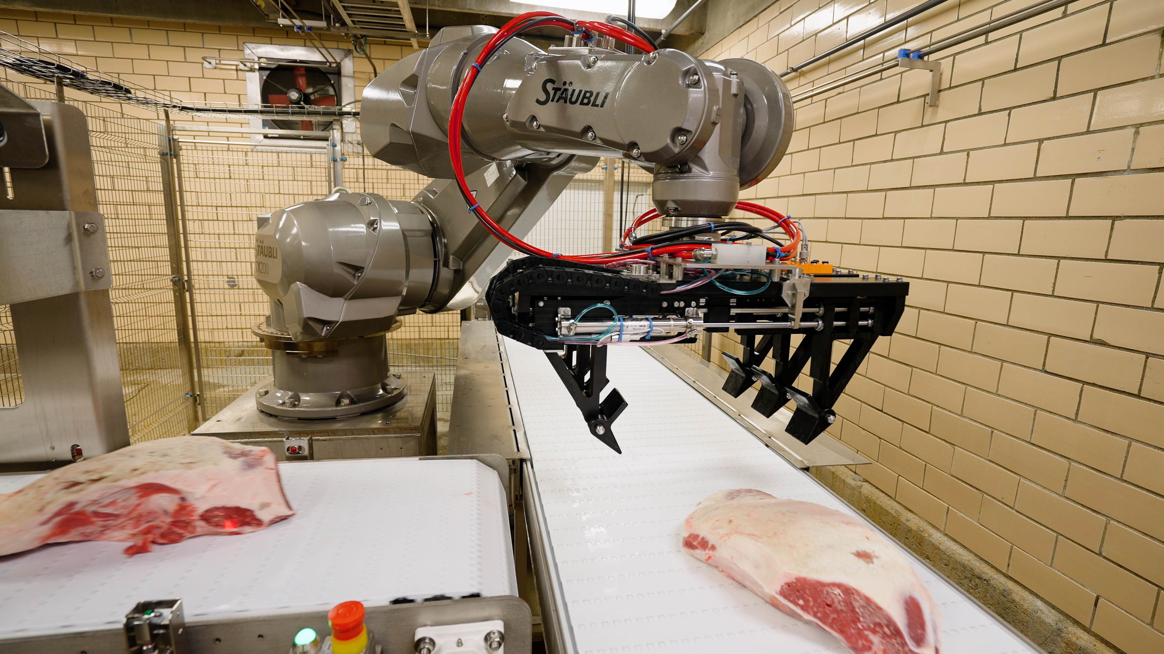 case-ready meat packaging machine