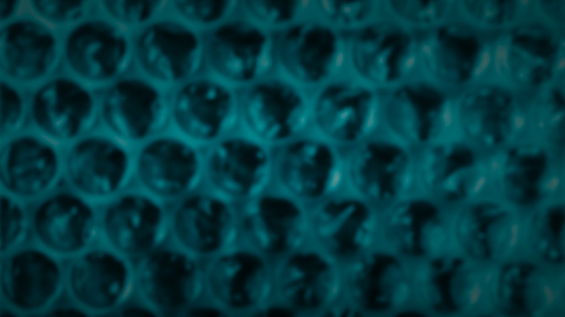 BUBBLE WRAP® Brand Appreciation Day