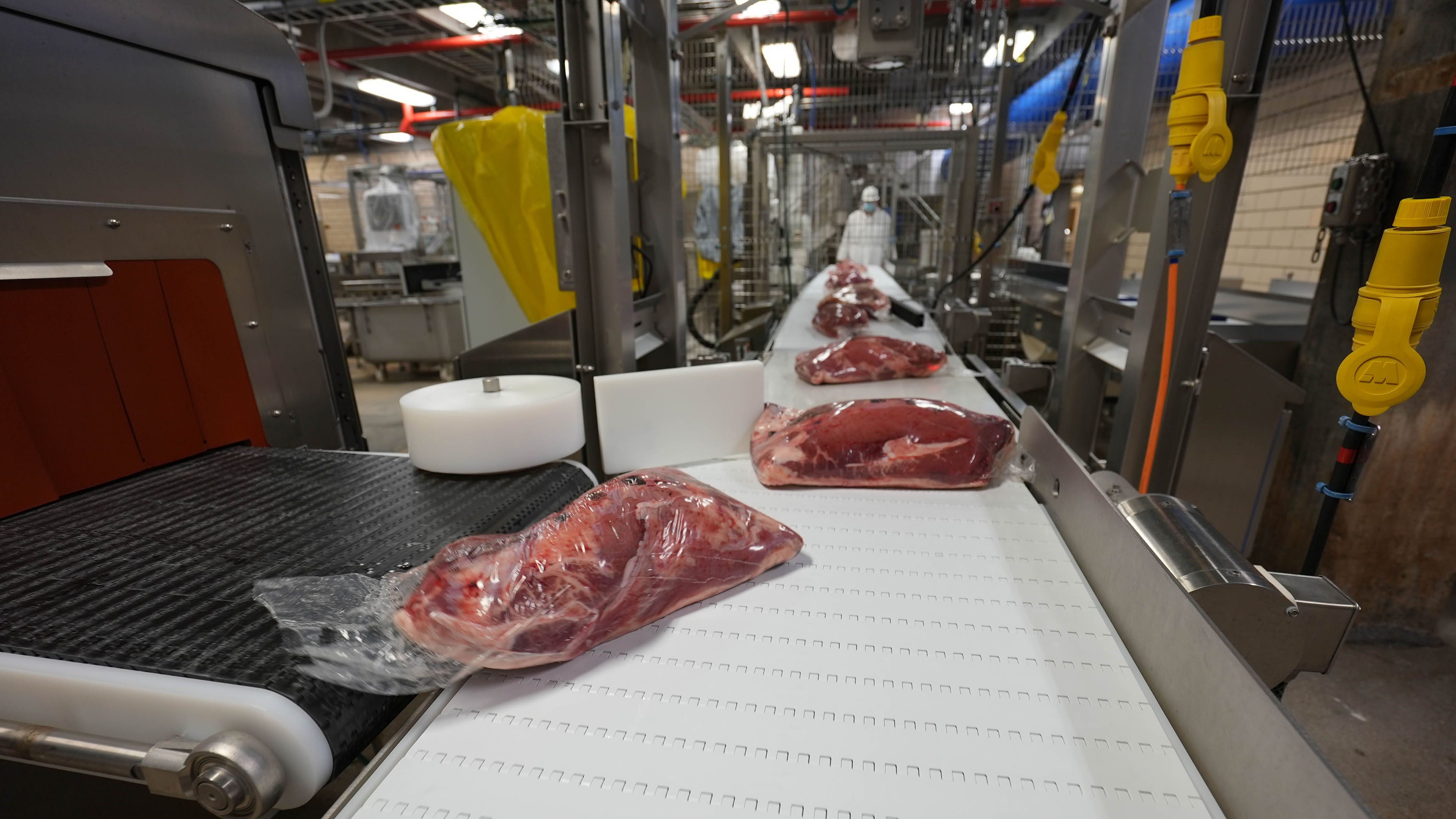plastic bags filled with meat on a conveyor belt