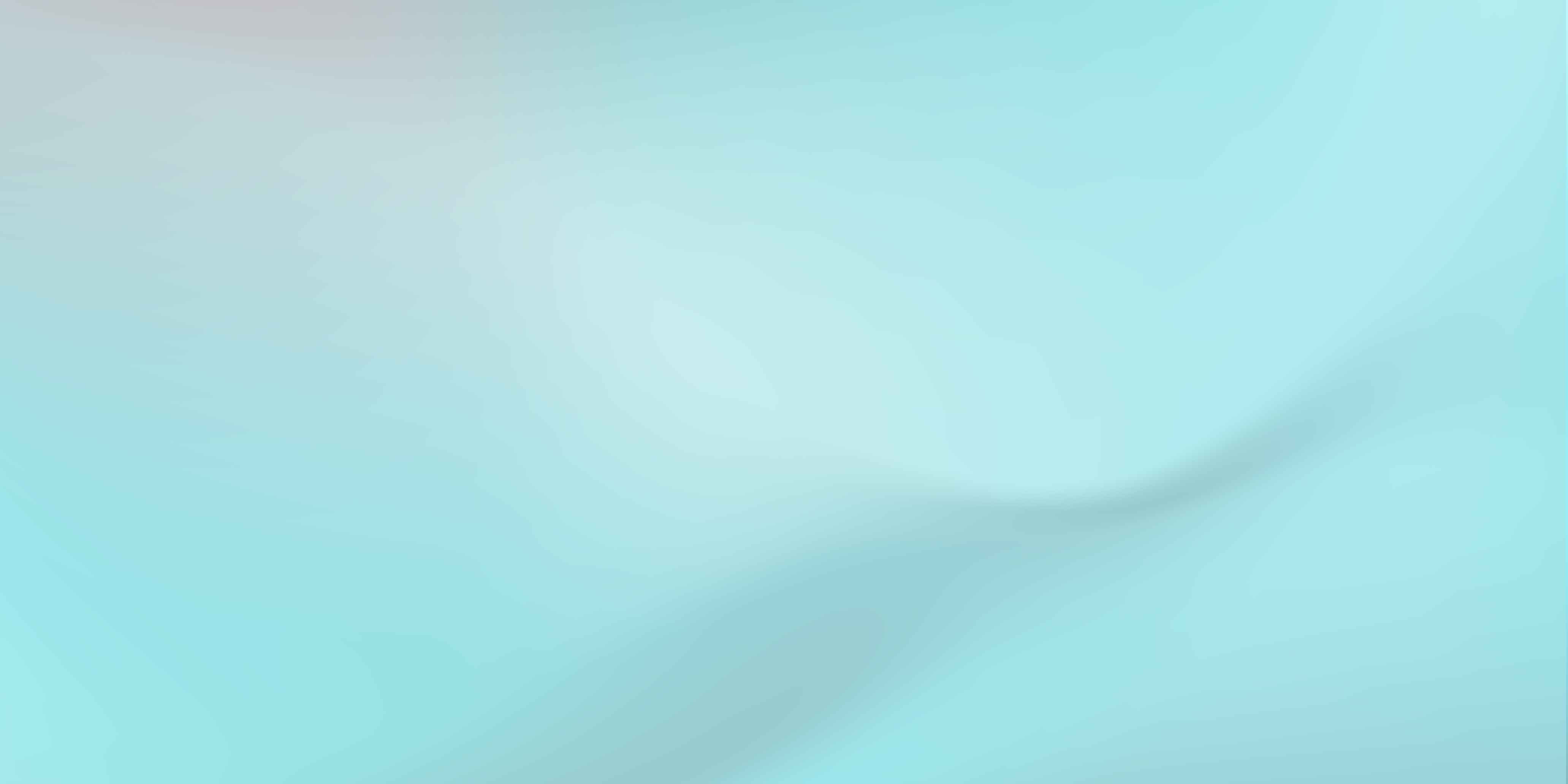 Sealed Air - Protective and Food Packaging, Automation & Healthcare