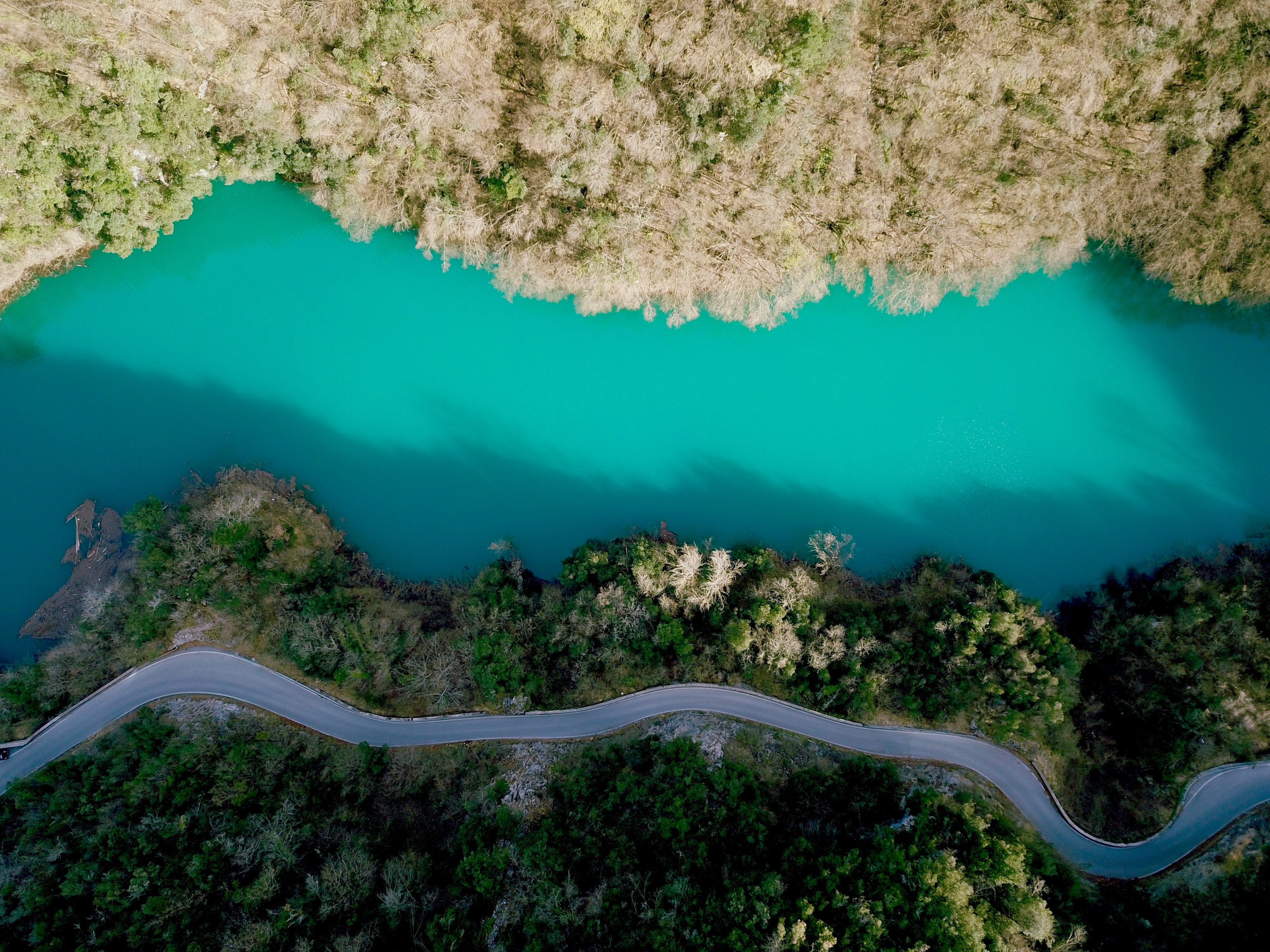 vista aérea de una fila de árboles