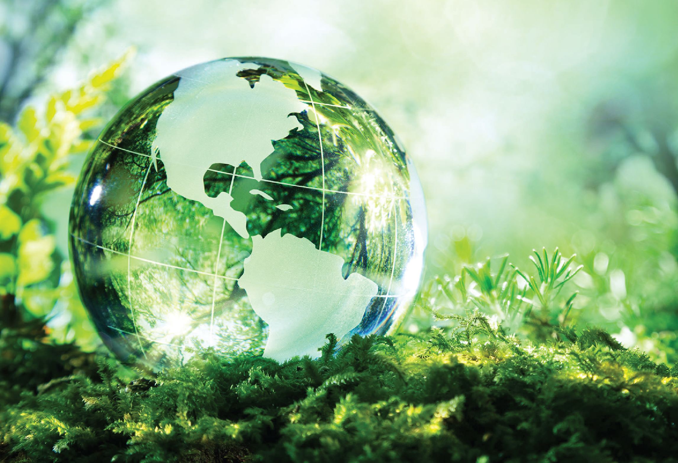 sustainability globe