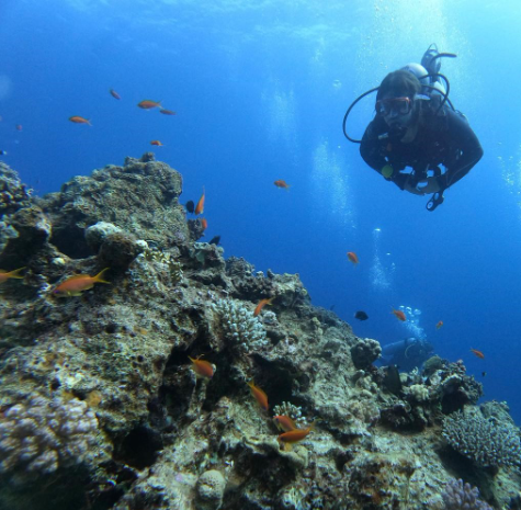 ahmed saad deep sea diving