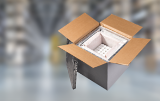 Product Carousel Thumbnail 1