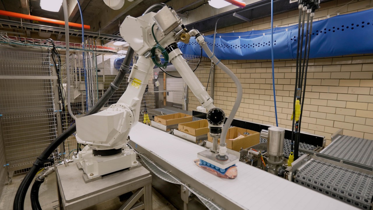 Proteins Automation Auto Assist robot with vacuum sealed meat